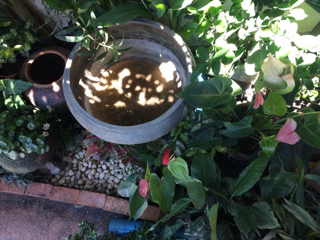 Sister House Chiangmai (Adults Only) Bed & Breakfast Chiang Mai Dış mekan fotoğraf